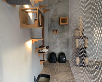 Pet/Janelas