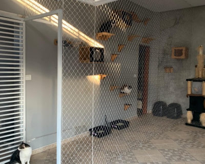 Pet/Janelas