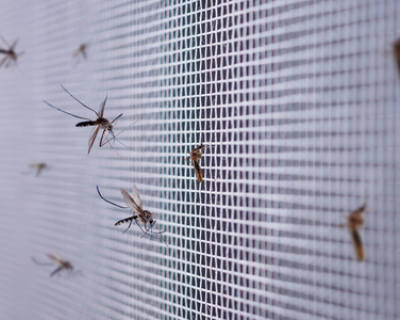 Telas Mosquiteiras